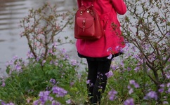 小S货又想挨C了叫大声点男男